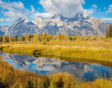Load image into Gallery viewer, Autumn Splendor
