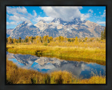 Load image into Gallery viewer, Autumn Splendor