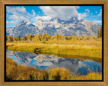 Load image into Gallery viewer, Autumn Splendor