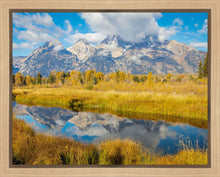Load image into Gallery viewer, Autumn Splendor