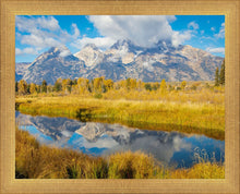 Load image into Gallery viewer, Autumn Splendor