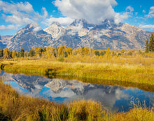 Load image into Gallery viewer, Autumn Splendor