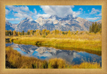 Load image into Gallery viewer, Autumn Splendor