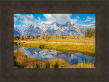 Load image into Gallery viewer, Autumn Splendor
