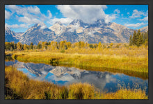 Load image into Gallery viewer, Autumn Splendor