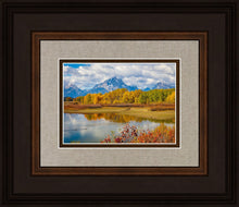 Load image into Gallery viewer, Changing Seasons