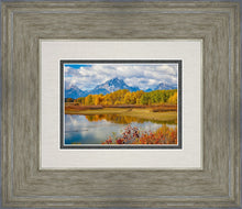 Load image into Gallery viewer, Changing Seasons