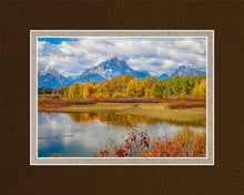Load image into Gallery viewer, Changing Seasons
