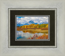 Load image into Gallery viewer, Changing Seasons