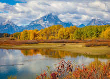 Load image into Gallery viewer, Changing Seasons