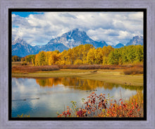 Load image into Gallery viewer, Changing Seasons