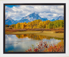 Load image into Gallery viewer, Changing Seasons