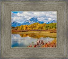 Load image into Gallery viewer, Changing Seasons
