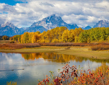 Load image into Gallery viewer, Changing Seasons