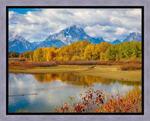 Load image into Gallery viewer, Changing Seasons