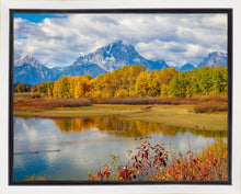 Load image into Gallery viewer, Changing Seasons