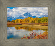 Load image into Gallery viewer, Changing Seasons