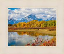 Load image into Gallery viewer, Changing Seasons