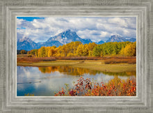 Load image into Gallery viewer, Changing Seasons