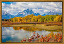Load image into Gallery viewer, Changing Seasons