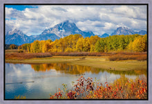 Load image into Gallery viewer, Changing Seasons