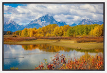 Load image into Gallery viewer, Changing Seasons