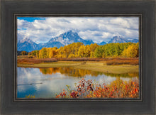 Load image into Gallery viewer, Changing Seasons