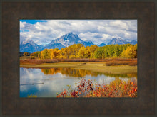 Load image into Gallery viewer, Changing Seasons