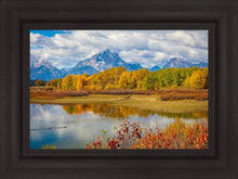 Load image into Gallery viewer, Changing Seasons