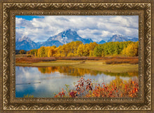 Load image into Gallery viewer, Changing Seasons