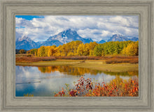 Load image into Gallery viewer, Changing Seasons