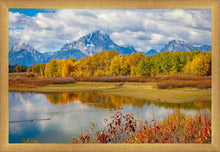 Load image into Gallery viewer, Changing Seasons