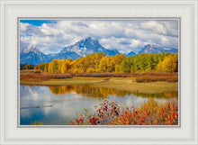 Load image into Gallery viewer, Changing Seasons