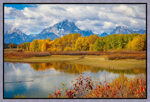 Load image into Gallery viewer, Changing Seasons
