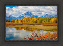 Load image into Gallery viewer, Changing Seasons
