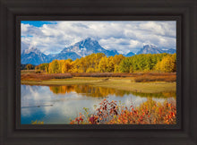 Load image into Gallery viewer, Changing Seasons