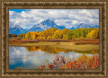 Load image into Gallery viewer, Changing Seasons