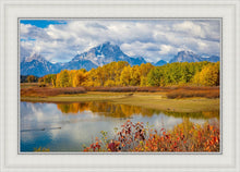 Load image into Gallery viewer, Changing Seasons