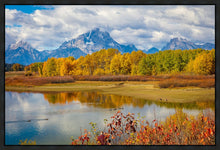 Load image into Gallery viewer, Changing Seasons