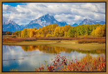 Load image into Gallery viewer, Changing Seasons