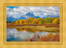 Load image into Gallery viewer, Changing Seasons