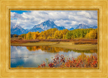 Load image into Gallery viewer, Changing Seasons