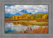 Load image into Gallery viewer, Changing Seasons