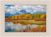 Load image into Gallery viewer, Changing Seasons