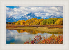Load image into Gallery viewer, Changing Seasons