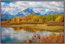 Load image into Gallery viewer, Changing Seasons