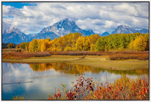 Load image into Gallery viewer, Changing Seasons