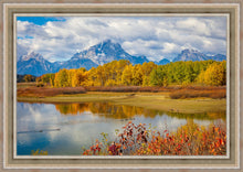 Load image into Gallery viewer, Changing Seasons