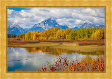 Load image into Gallery viewer, Changing Seasons