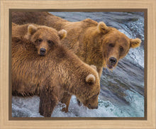 Load image into Gallery viewer, Sunday Dinner